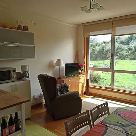 Apartamento Acogedor Y Luminoso * ミーニョ